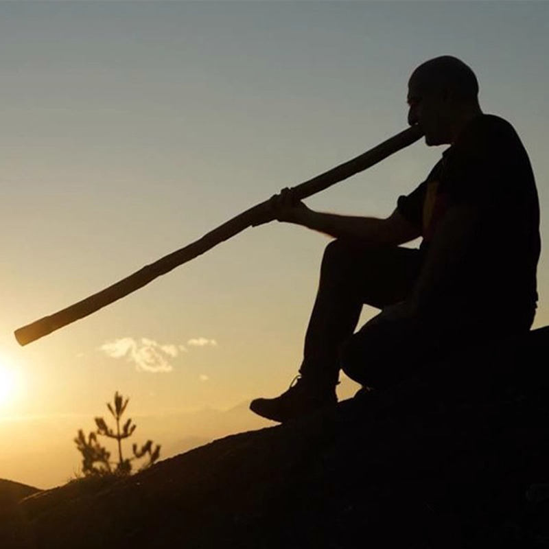 الخيزران Didgeridoo المهنية ضب - مراجعة Musical Instrument Didgeridoo وسعره