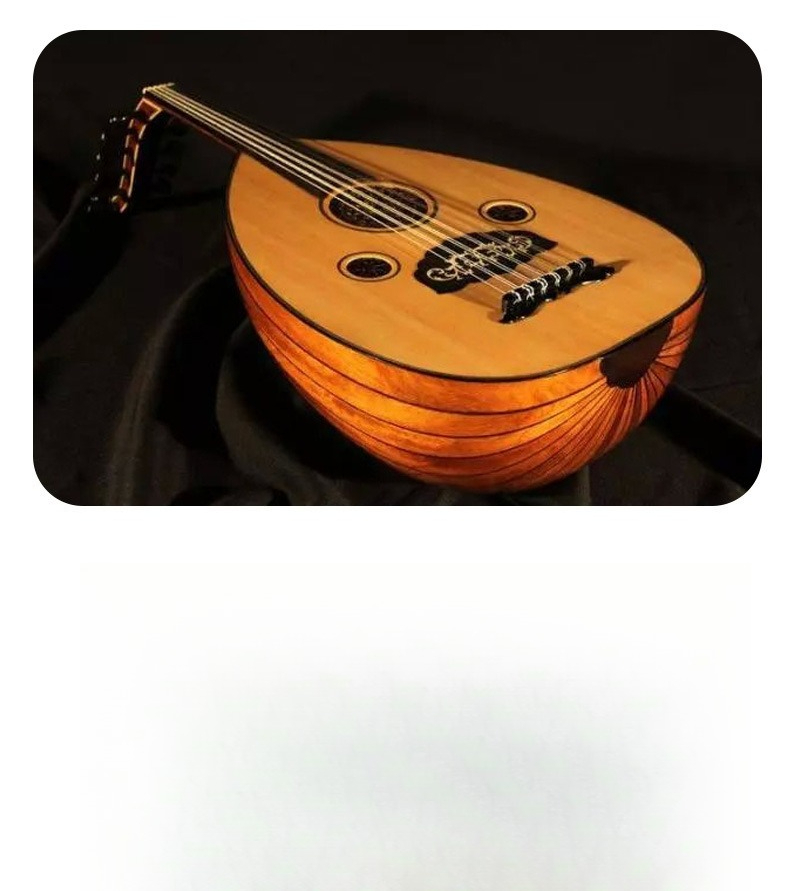 عود، ملك الآلات الموسيقية العر - مراجعة Musical Instrument Oud وسعره